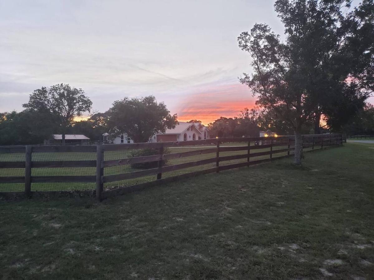 Horse Country Home In Beautiful 奥卡拉 外观 照片