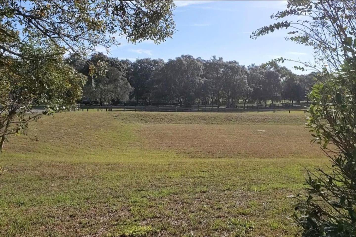 Horse Country Home In Beautiful 奥卡拉 外观 照片